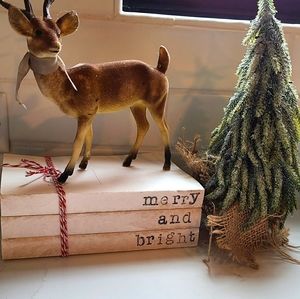 Christmas Deco Books